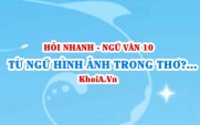 Từ ngữ, hình ảnh trong thơ là gì? Ngữ Văn lớp 10